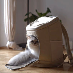 In sella! In giro con lo zaino per gatti HOP-ON
