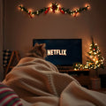 Binge-Watching mit Schnurrfaktor: Katzen erobern die Serienwelt