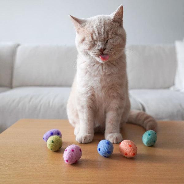 Ostern mit Katze – So machst Du das Fest auch für Deine Samtpfote besonders