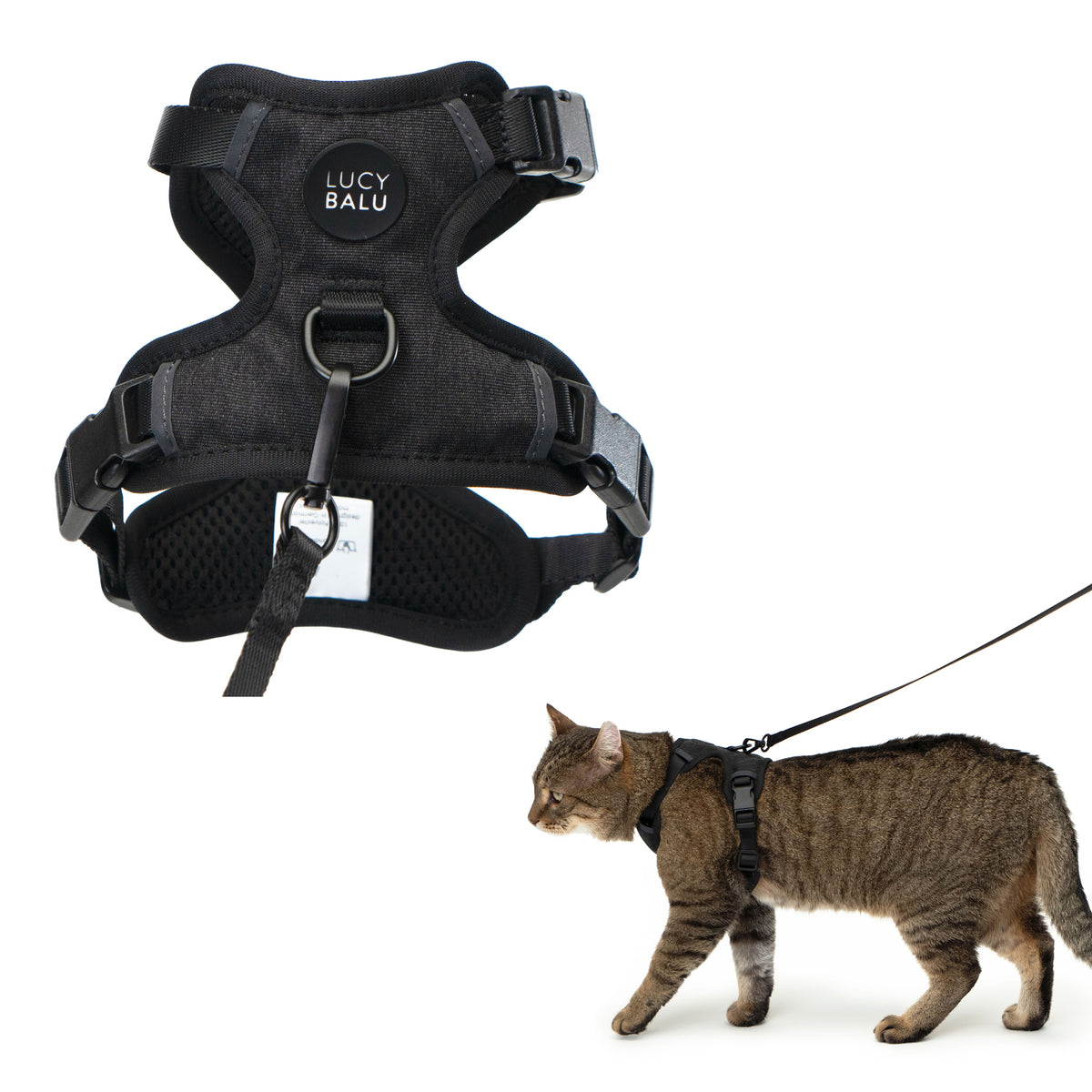 EXPLORER Imbracatura per gatti