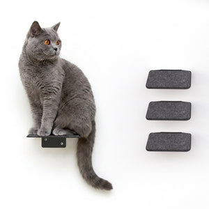STEPS cat stairs