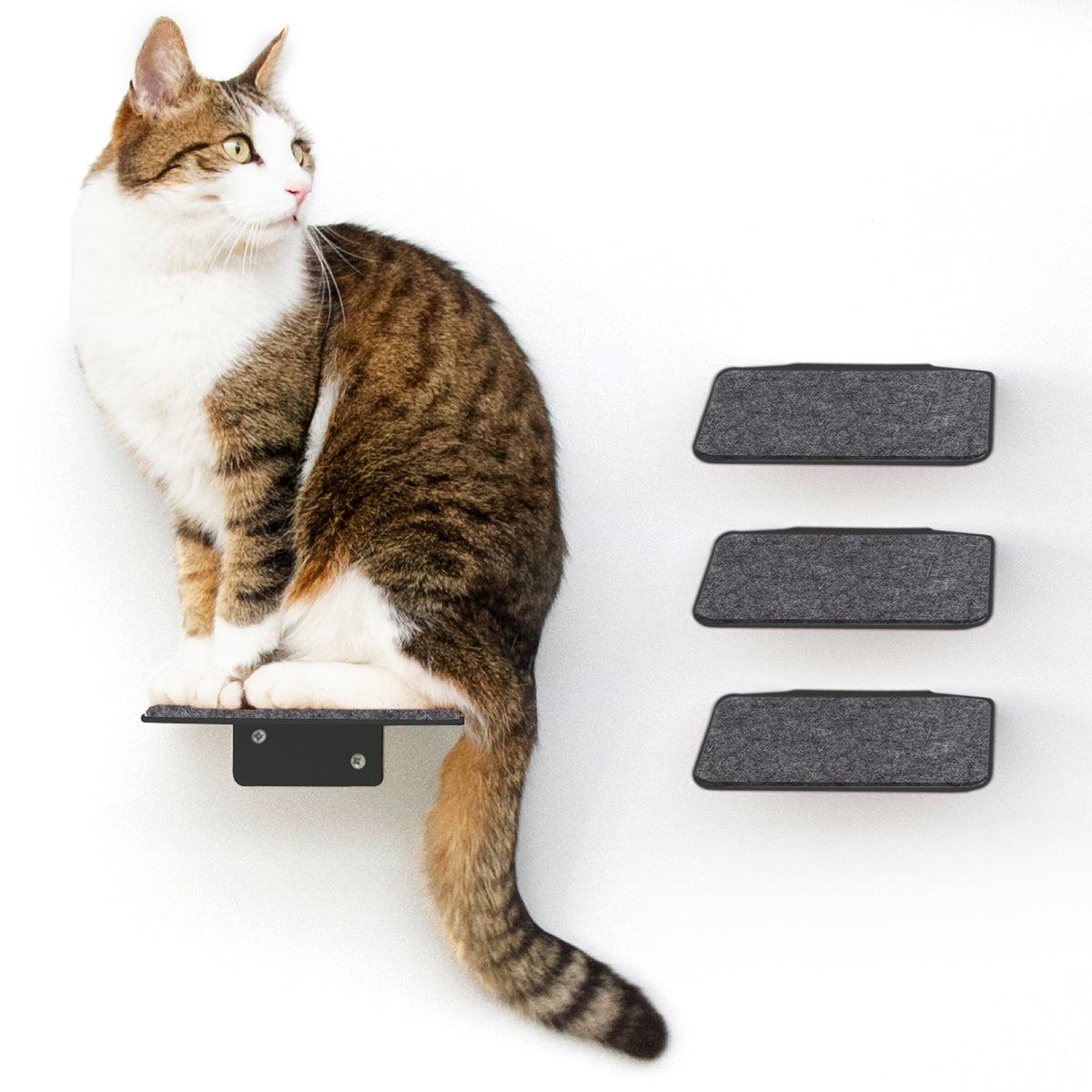 STEPS cat stairs