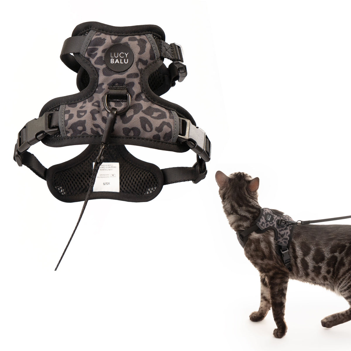 EXPLORER Imbracatura per gatti