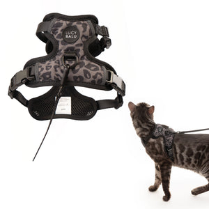EXPLORER Imbracatura per gatti