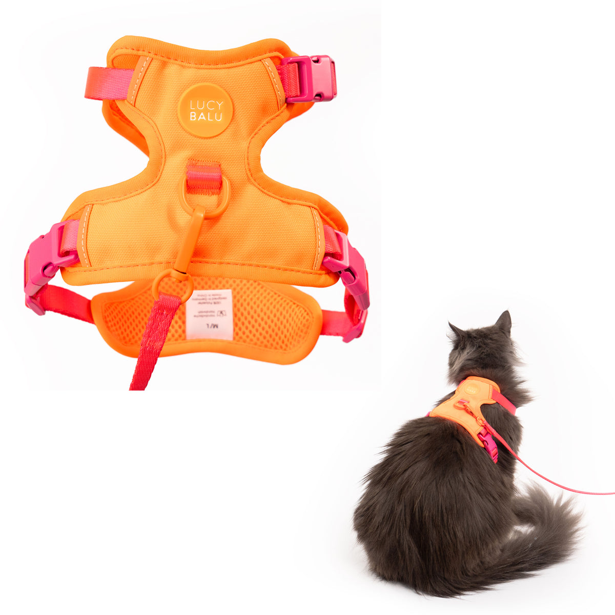 EXPLORER Imbracatura per gatti