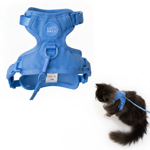 EXPLORER harnais pour chat