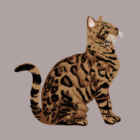 Bengala