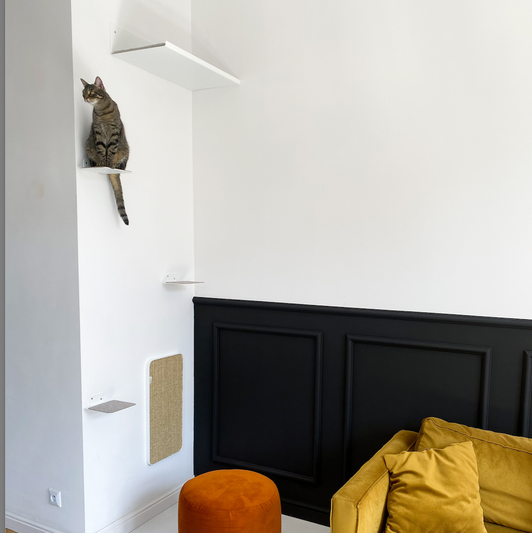 Wandparkour Katze