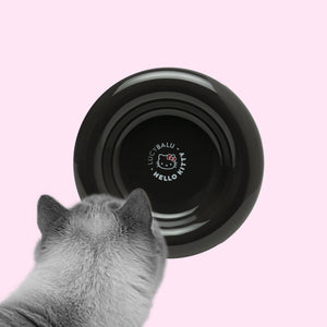Katze schaut in schwarzen DROP Katzennapf - Hello Kitty Edition