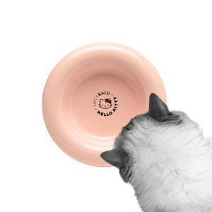 Bol pour chat DROP en rosé, édition Hello Kitty – fond avec logo LucyBalu x Hello Kitty.