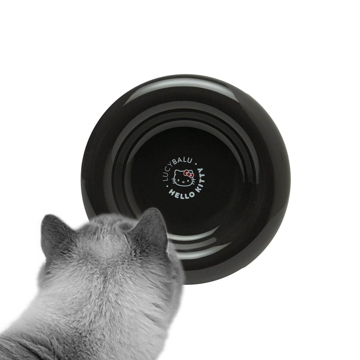 Bol pour chat DROP en noir, édition Hello Kitty – fond avec logo LucyBalu x Hello Kitty.
