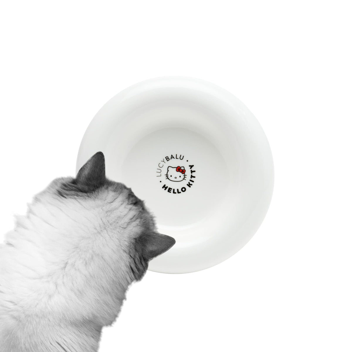 Bol pour chat DROP en blanc, édition Hello Kitty – fond avec logo LucyBalu x Hello Kitty.