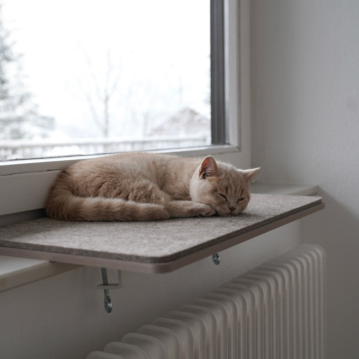 Katze schläft auf der VIEW Fensterbankliege über der Heizung – gemütlicher Fensterplatz im Winter.