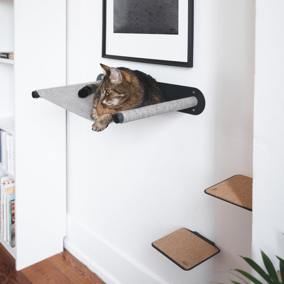 Katzenwand