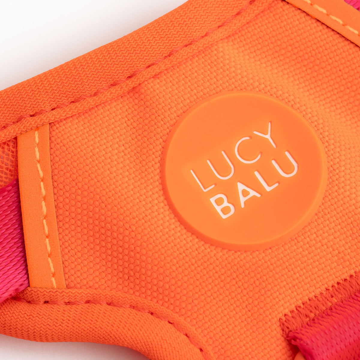 EXPLORER Katzengeschirr in Berry-Orange, Nahaufnahme des LucyBalu Logos