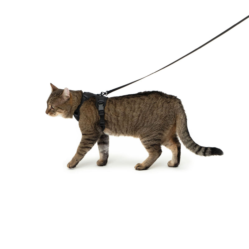 EXPLORER Imbracatura per gatti