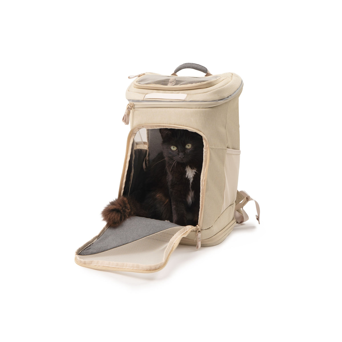 Sac à dos pour chat HOP-ON en sable, un chaton noir regardant par l'ouverture