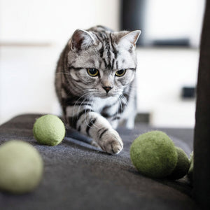 Un chat jouant avec les balles en feutre MATCHA MIX sur le canapé