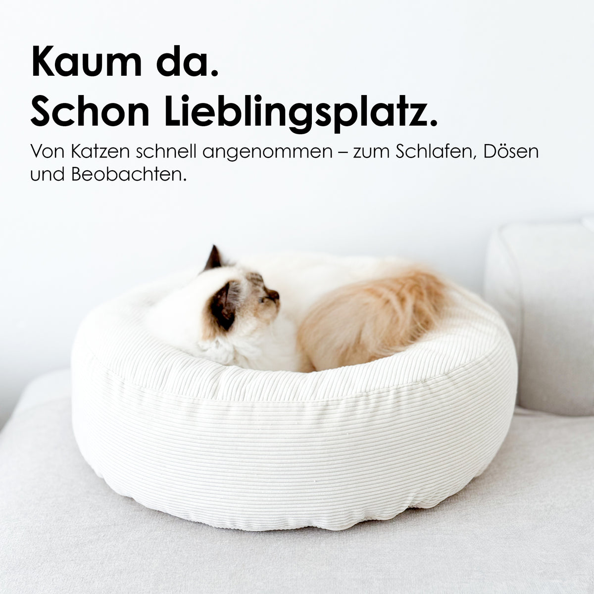 NEST cat bed