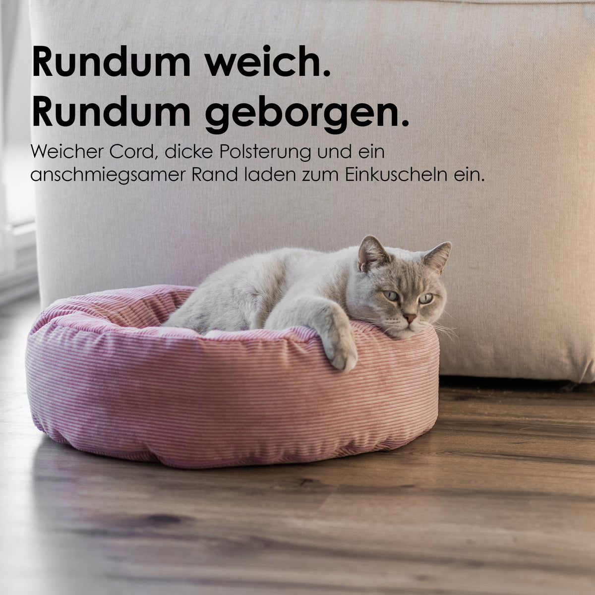 NEST cat bed