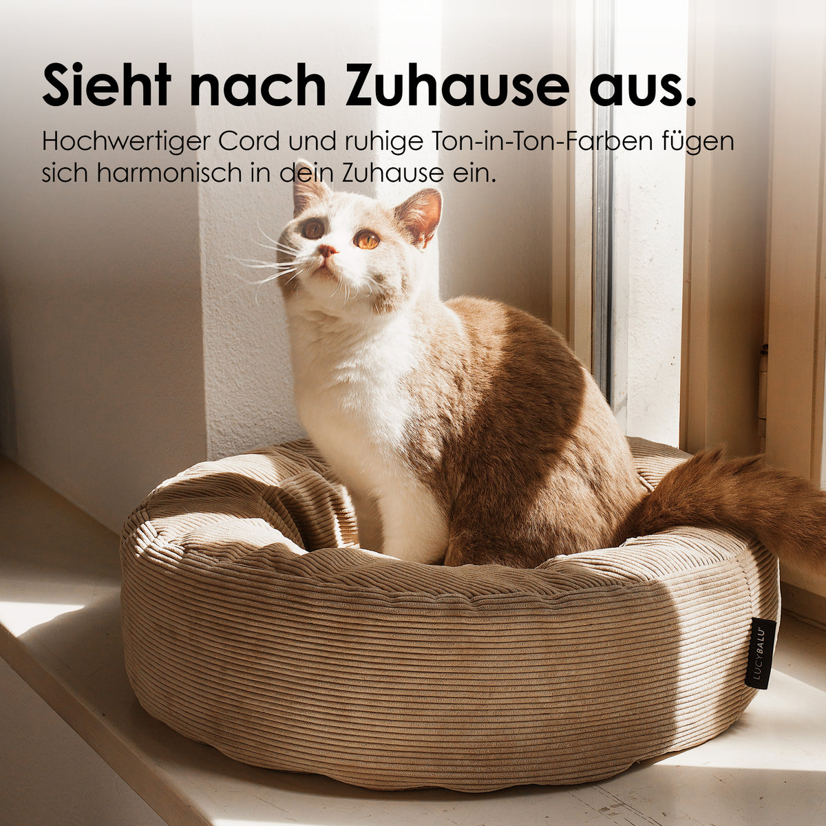 NEST cat bed