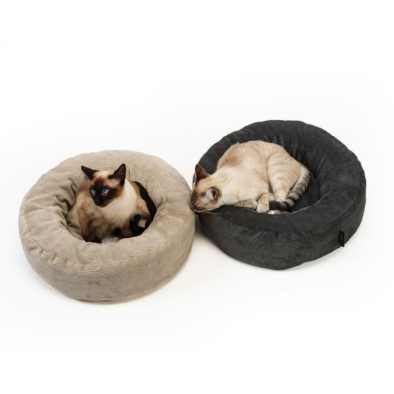 NEST Katzenbett