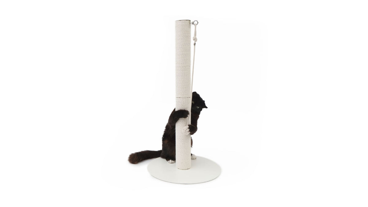 PAPERPOLE colonna tiragraffi autoportante