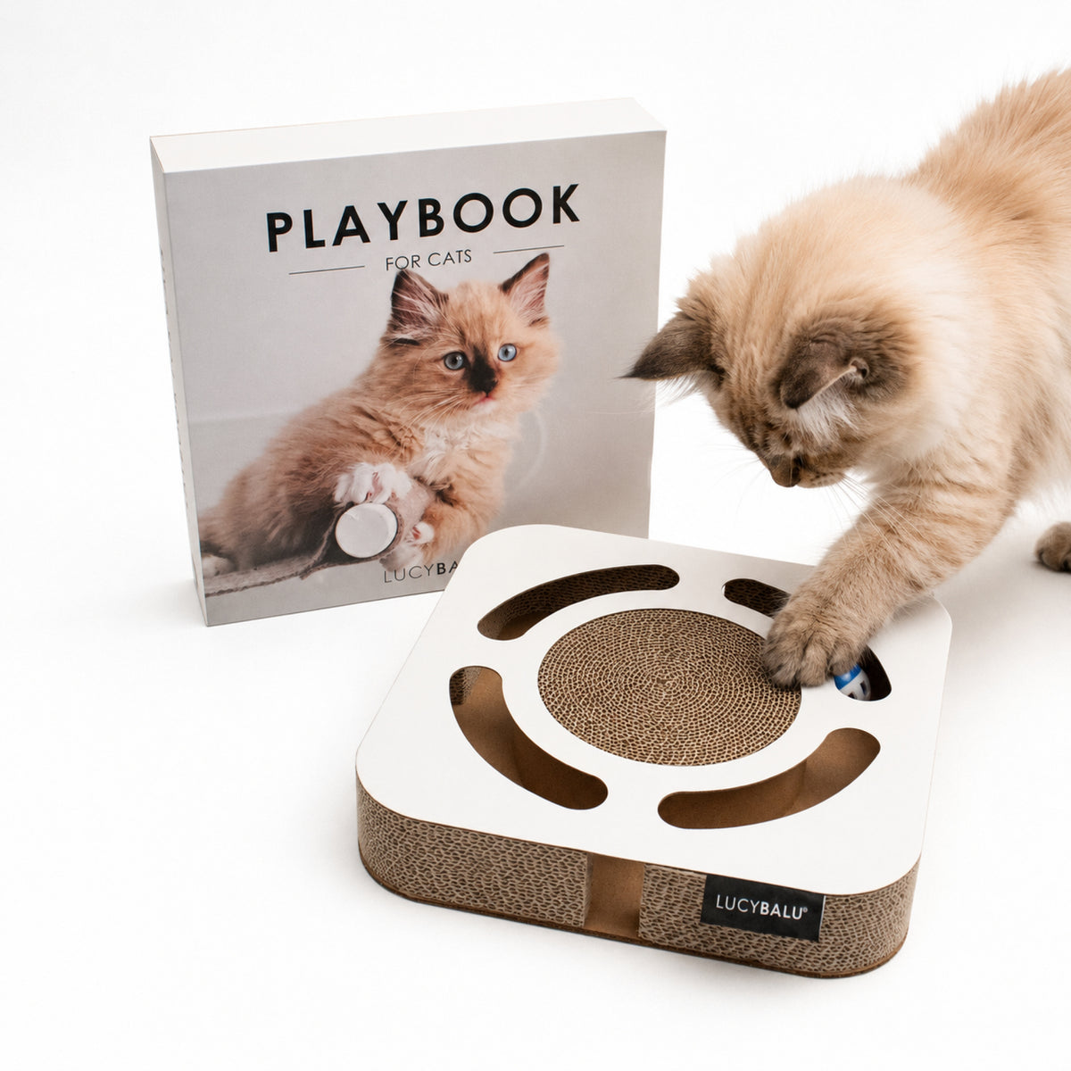 PLAYBOOK interactive toy