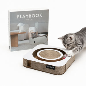 PLAYBOOK interactive toy