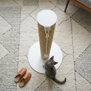 SCRATCHPOLE Kratzstamm von oben – Katze sitzt neben weißer Bodenplatte
