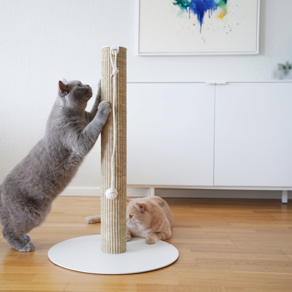 SCRATCHPOLE Kratzstamm in Sisal Sand – Katze kratzt daran, zweite Katze liegt daneben