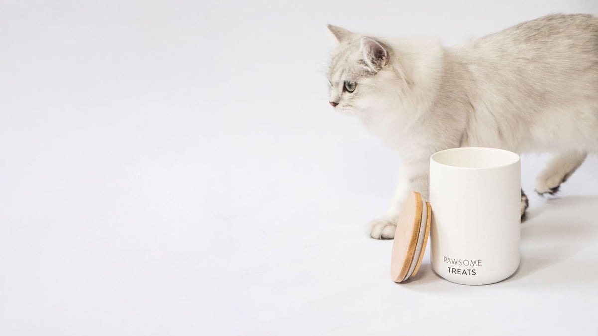 SNACK BAR contenitore per cibo e snack per gatti