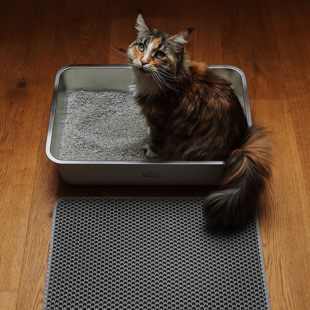 STEELOO Katzentoilette in Weiß mit LOOMAT Streumatte in Sand – Set-Ansicht freigestellt.