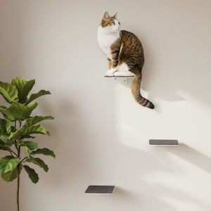 STEPS cat stairs