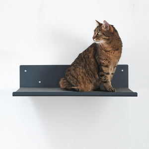 Gatto seduto sulla mensola a parete STRAIGHT in antracite con cuscino in feltro grigio.