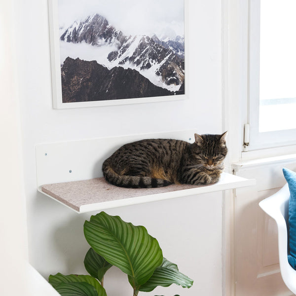 Mensola a parete STRAIGHT in bianco con cuscino in feltro sabbia – gatto che dorme a parete accanto a un'immagine di montagna.