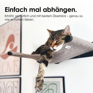 SWING cat hammock