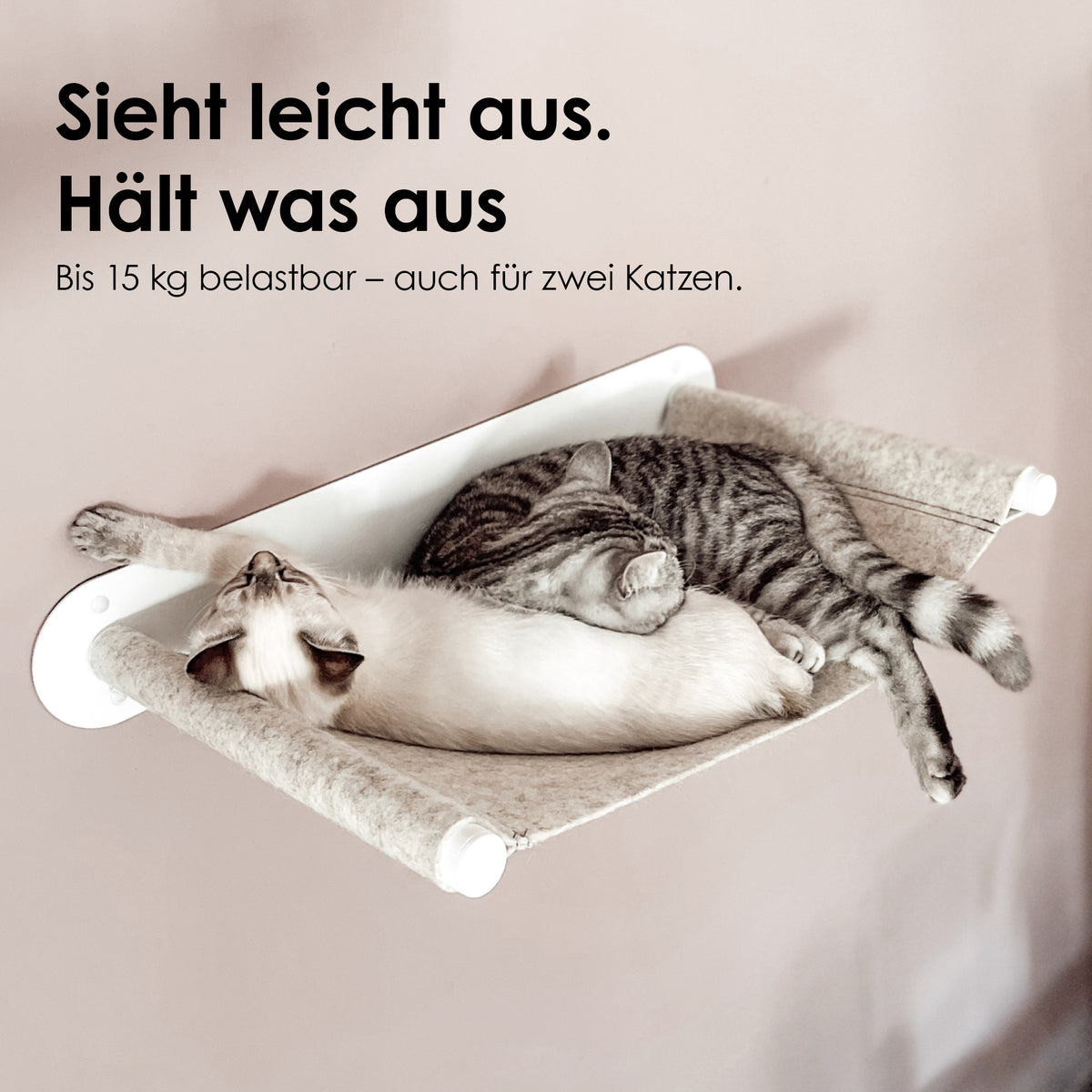 SWING cat hammock