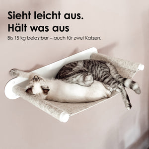 SWING cat hammock