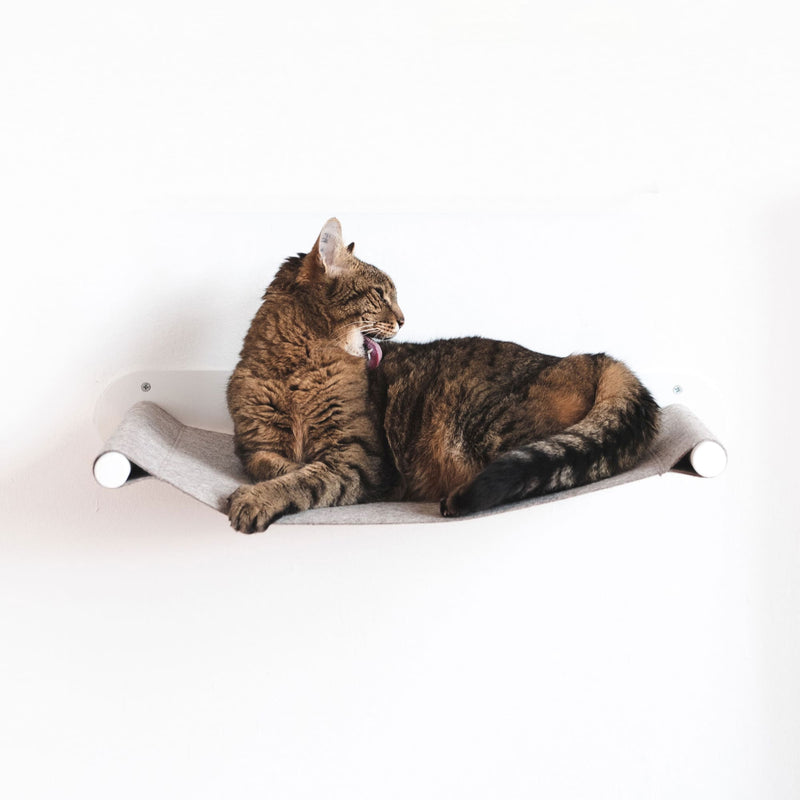 SWING amaca per gatti
