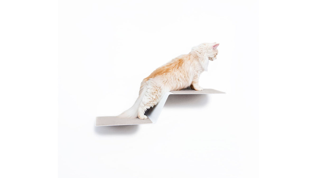 WAVE scala per gatti XXL