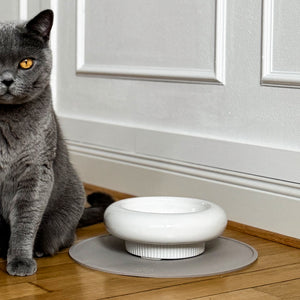 Ciotola per gatti MYCO in bianco su tappetino antiscivolo, gatto grigio seduto attento accanto