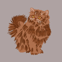 Persiano