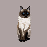 Siamese