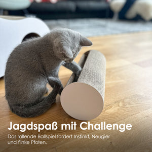 Kitten spielt mit dem rollenden Activity-Ballspiel der PLAYGROUND Kratzwelt – Jagdspaß mit Challenge