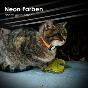 Getigerte Katze mit orangem NEMO Halsband in Neonfarbe für gute Sichtbarkeit nachts