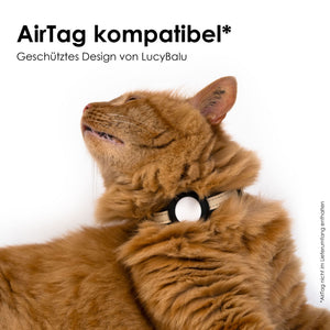 Gatto che guarda verso l'alto, indossa il collare per gatti DORI color sabbia con porta AirTag – compatibile con AirTag