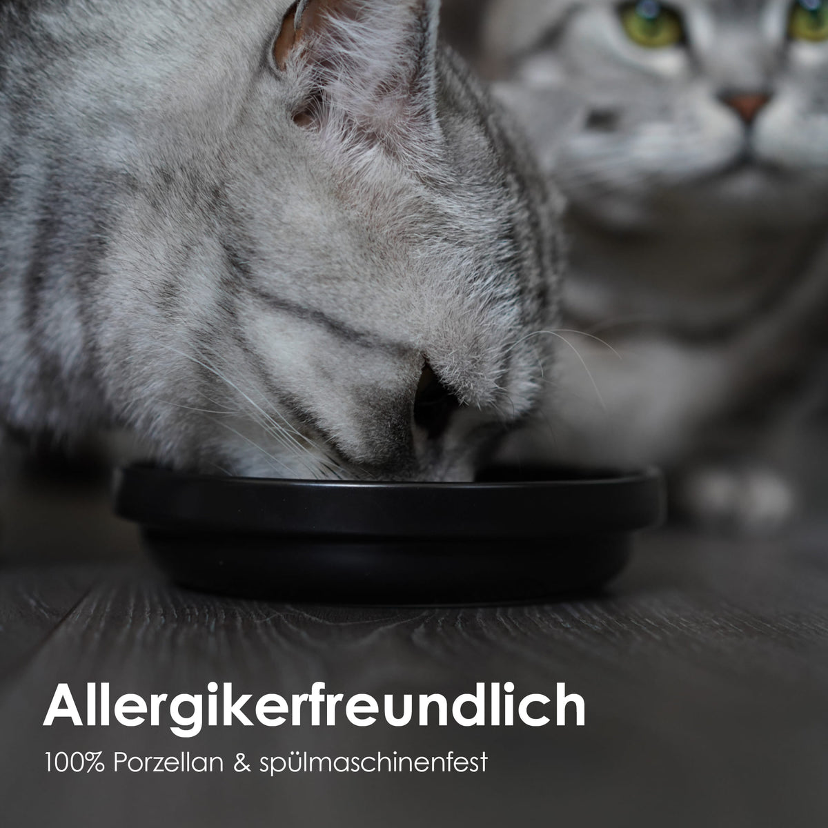 Bol en porcelaine BOWL en noir – adapté aux allergiques, 100 % porcelaine et compatible lave-vaisselle.