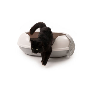 Gatto nero che salta fuori dalla lettiera ARENA grigia aperta