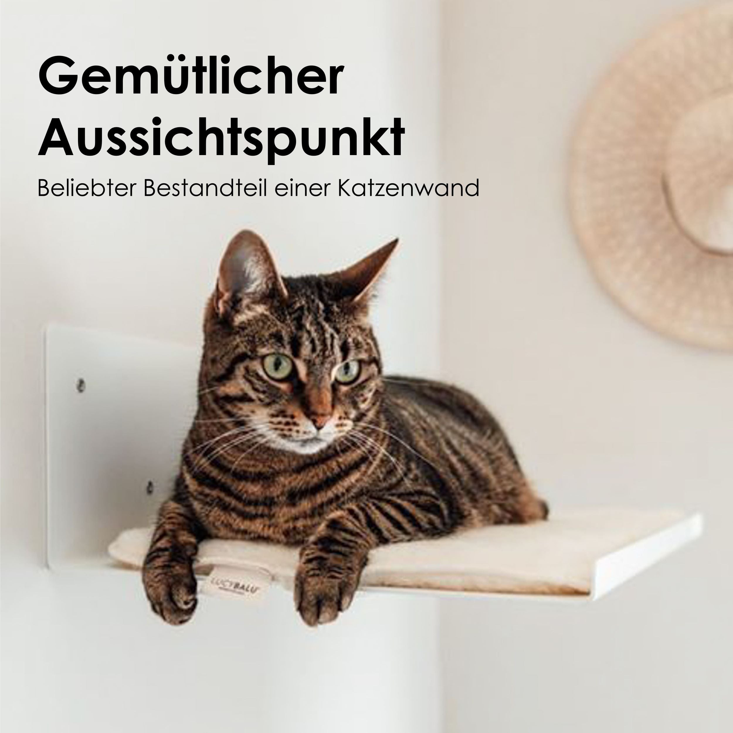 Katzen Wandliege